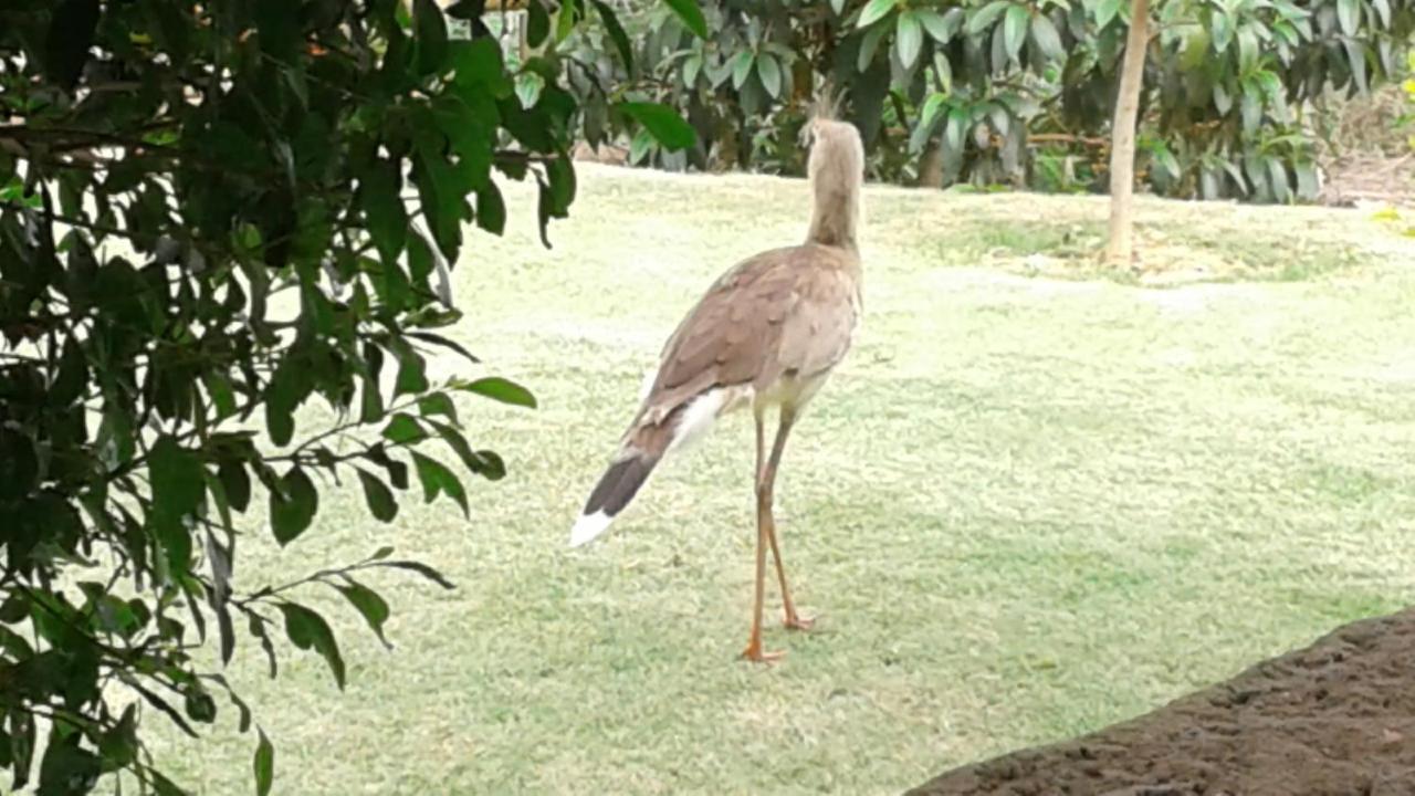 Pousada Chacara Familia H Apartman Caratinga Kültér fotó